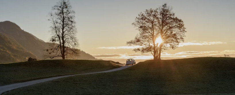 Sesión de consulta homeopática en un ambiente tranquilo y profesional.